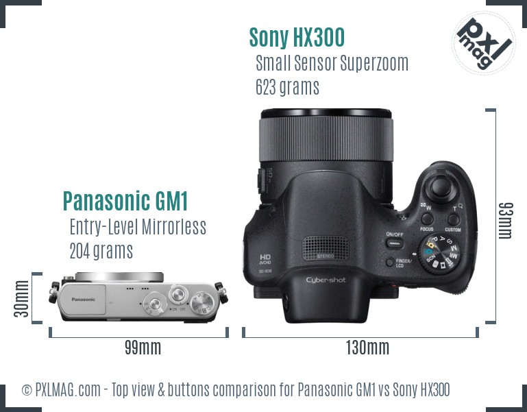 Panasonic GM1 vs Sony HX300 top view buttons comparison