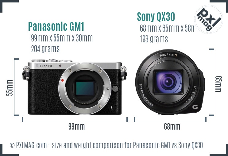 Panasonic GM1 vs Sony QX30 size comparison