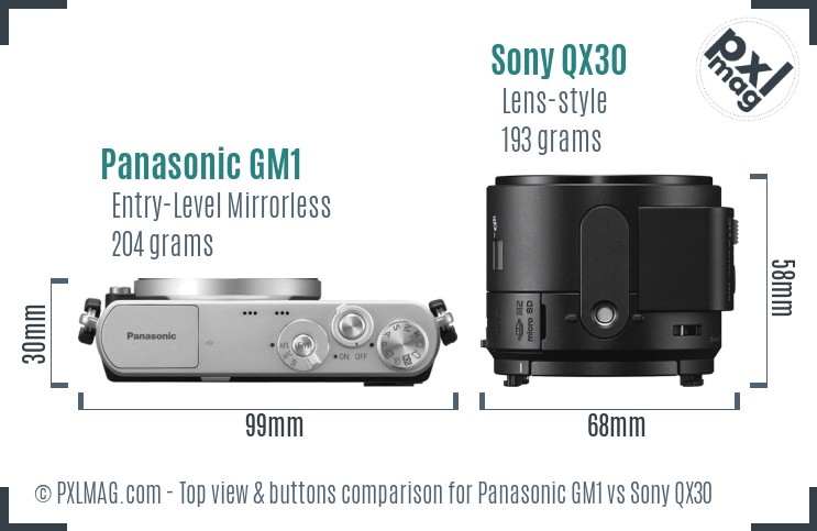 Panasonic GM1 vs Sony QX30 top view buttons comparison
