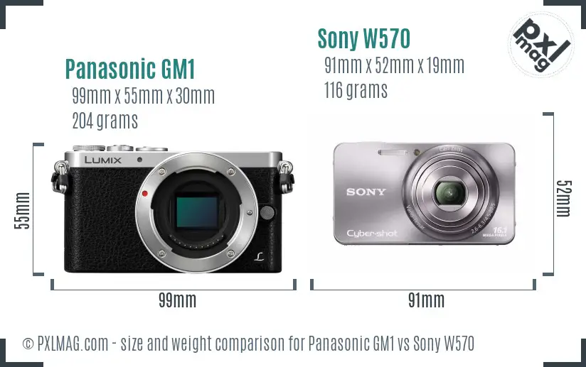 Panasonic GM1 vs Sony W570 size comparison