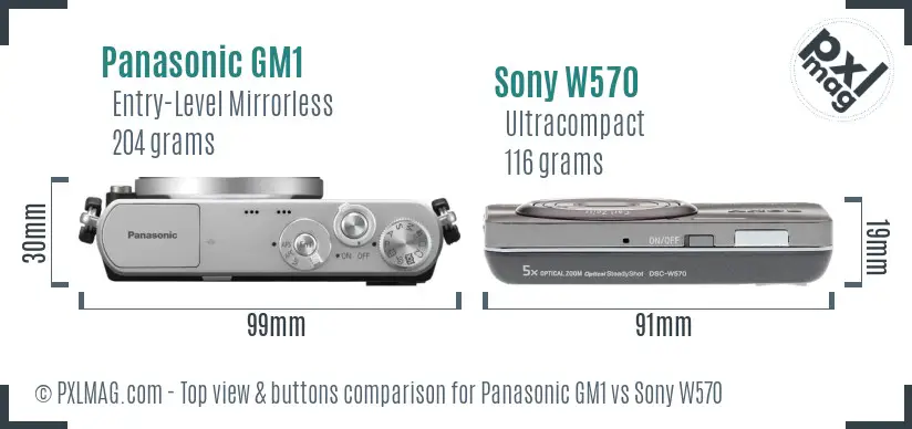 Panasonic GM1 vs Sony W570 top view buttons comparison