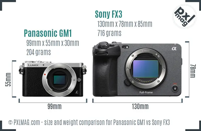 Panasonic GM1 vs Sony FX3 size comparison