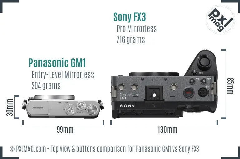 Panasonic GM1 vs Sony FX3 top view buttons comparison