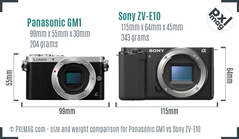 Panasonic GM1 vs Sony ZV-E10 size comparison