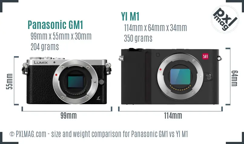 Panasonic GM1 vs YI M1 size comparison