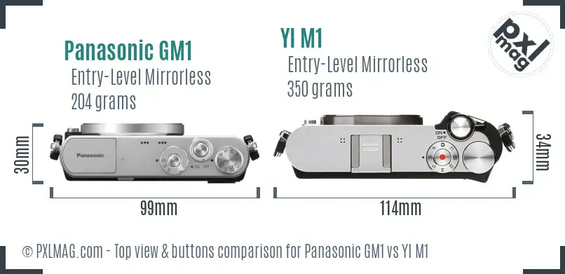 Panasonic GM1 vs YI M1 top view buttons comparison