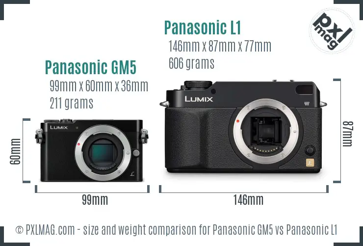 Panasonic GM5 vs Panasonic L1 size comparison