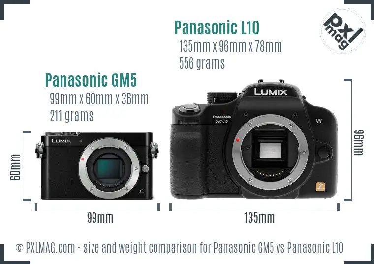 Panasonic GM5 vs Panasonic L10 size comparison