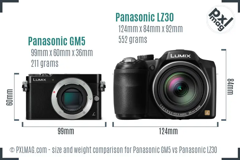 Panasonic GM5 vs Panasonic LZ30 size comparison