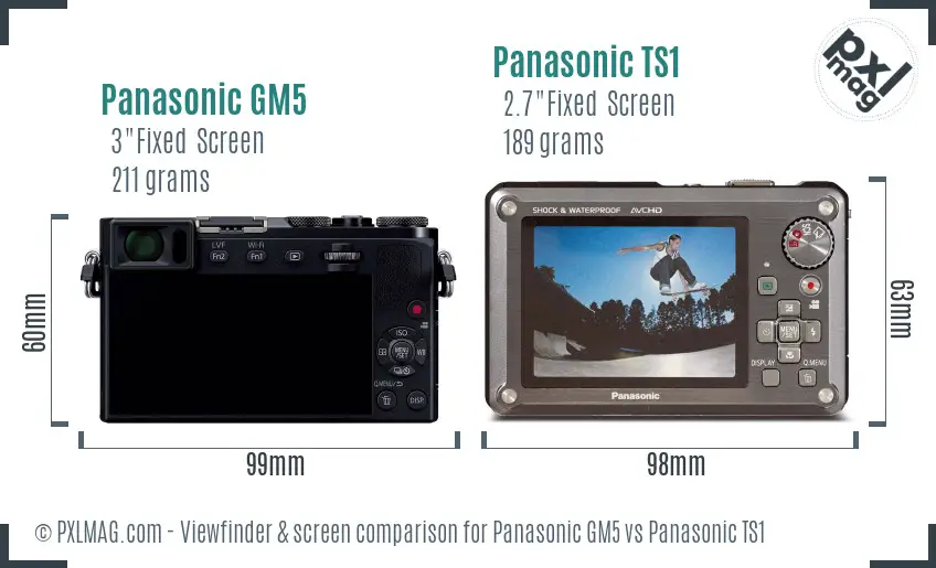 Panasonic GM5 vs Panasonic TS1 Screen and Viewfinder comparison