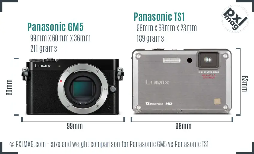 Panasonic GM5 vs Panasonic TS1 size comparison