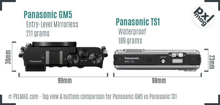 Panasonic GM5 vs Panasonic TS1 top view buttons comparison