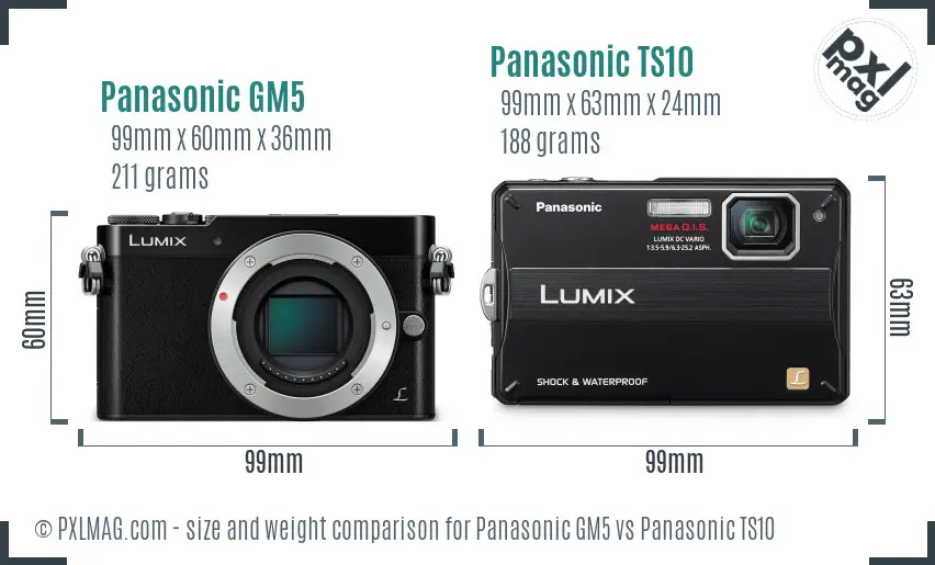 Panasonic GM5 vs Panasonic TS10 size comparison