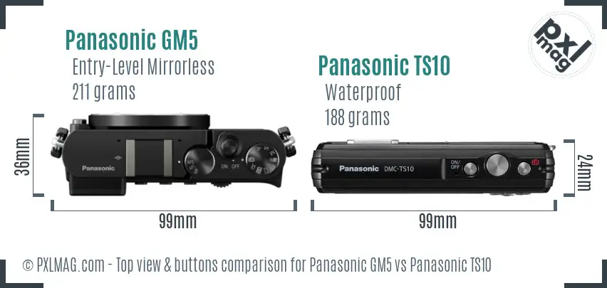 Panasonic GM5 vs Panasonic TS10 top view buttons comparison