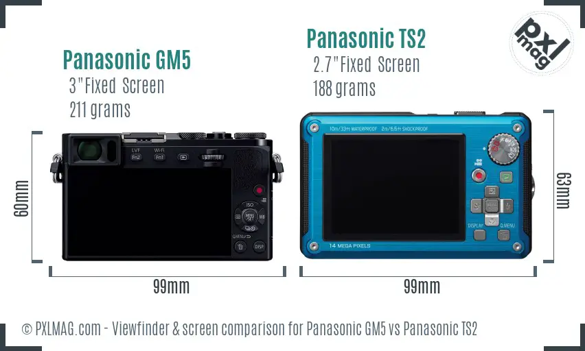 Panasonic GM5 vs Panasonic TS2 Screen and Viewfinder comparison
