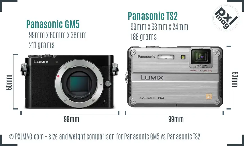 Panasonic GM5 vs Panasonic TS2 size comparison