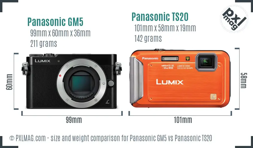 Panasonic GM5 vs Panasonic TS20 size comparison
