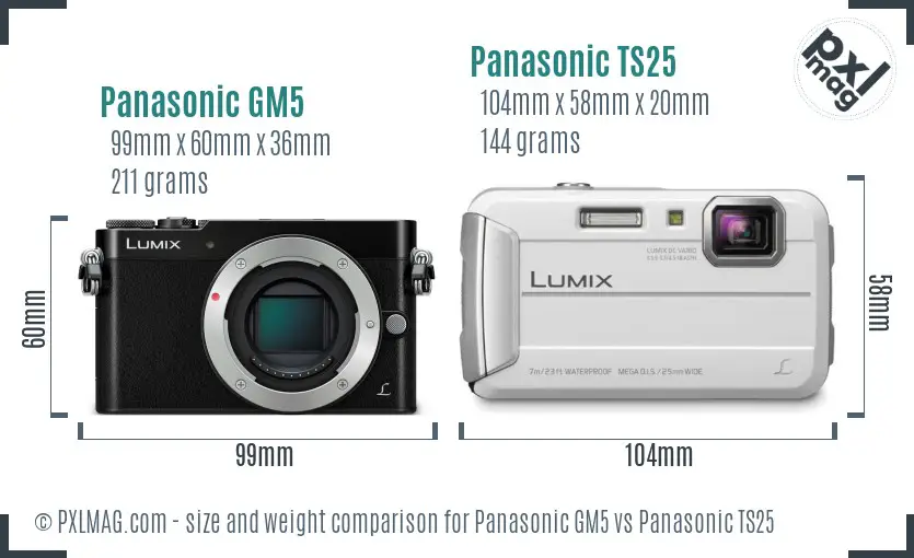Panasonic GM5 vs Panasonic TS25 size comparison