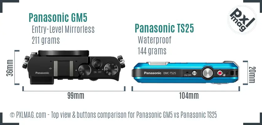 Panasonic GM5 vs Panasonic TS25 top view buttons comparison