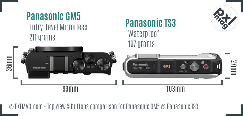 Panasonic GM5 vs Panasonic TS3 top view buttons comparison