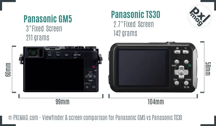 Panasonic GM5 vs Panasonic TS30 Screen and Viewfinder comparison