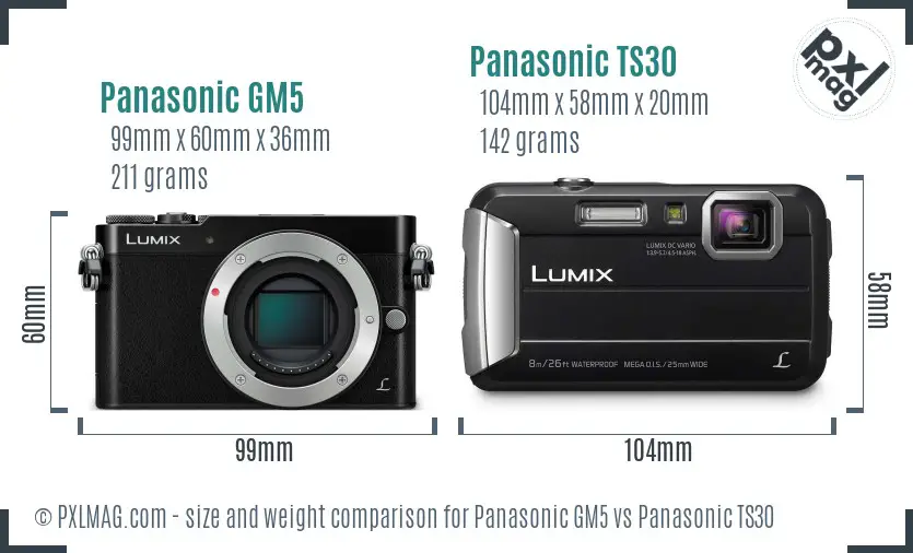 Panasonic GM5 vs Panasonic TS30 size comparison