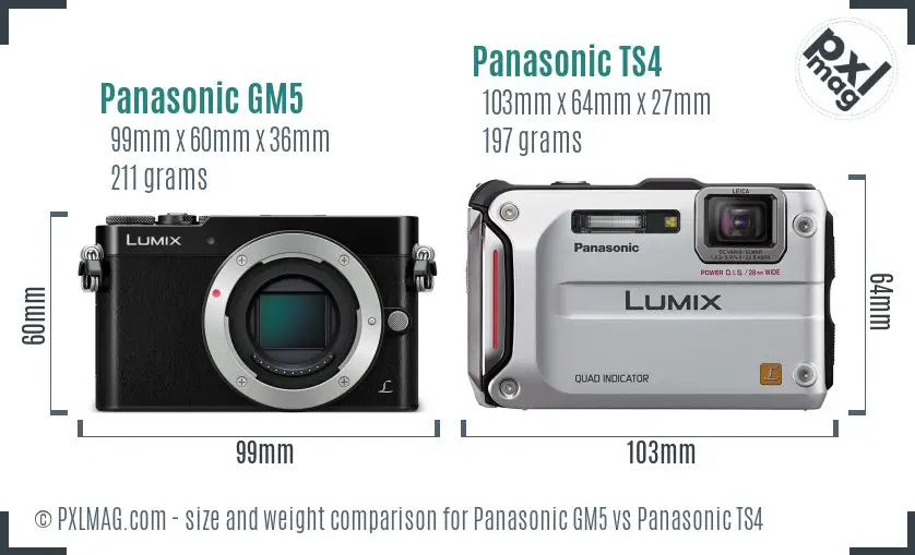 Panasonic GM5 vs Panasonic TS4 size comparison