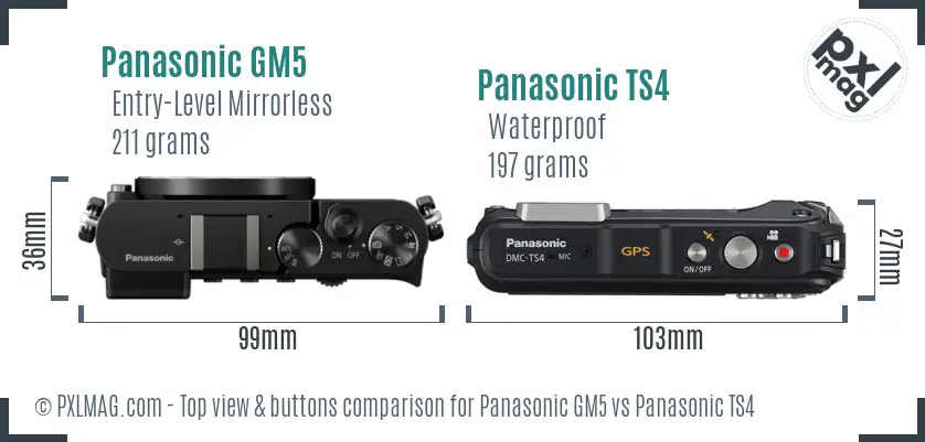 Panasonic GM5 vs Panasonic TS4 top view buttons comparison