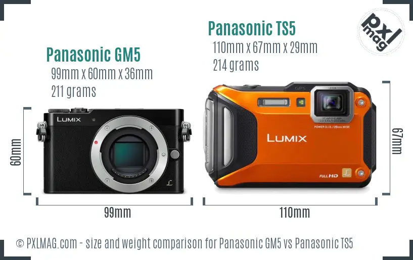 Panasonic GM5 vs Panasonic TS5 size comparison