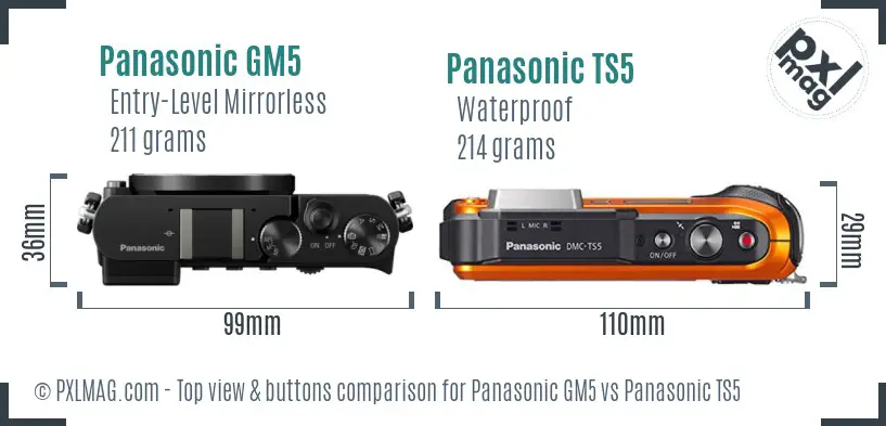 Panasonic GM5 vs Panasonic TS5 top view buttons comparison