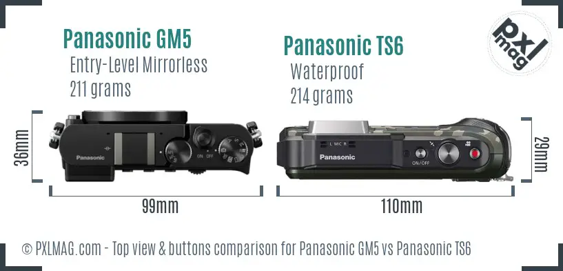 Panasonic GM5 vs Panasonic TS6 top view buttons comparison