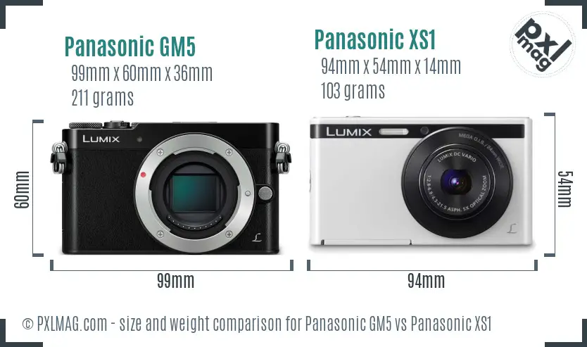 Panasonic GM5 vs Panasonic XS1 size comparison