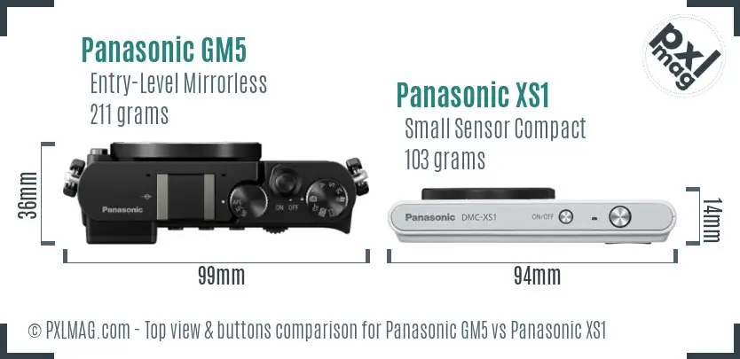 Panasonic GM5 vs Panasonic XS1 top view buttons comparison