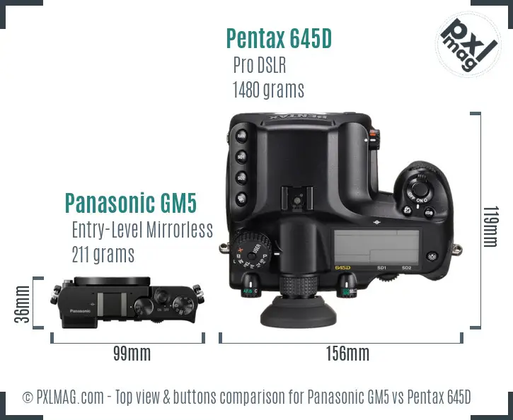 Panasonic GM5 vs Pentax 645D top view buttons comparison