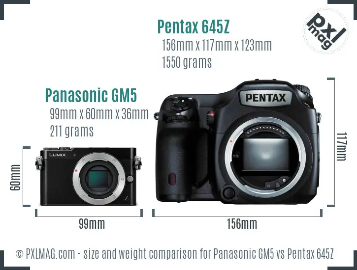 Panasonic GM5 vs Pentax 645Z size comparison