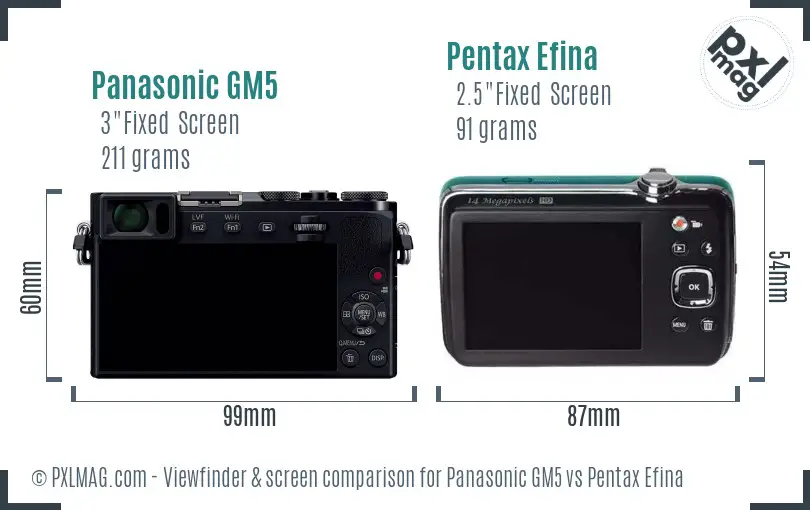 Panasonic GM5 vs Pentax Efina Screen and Viewfinder comparison