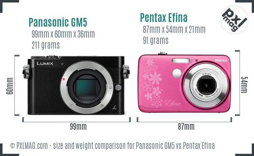 Panasonic GM5 vs Pentax Efina size comparison