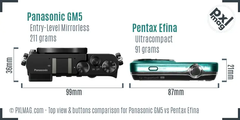 Panasonic GM5 vs Pentax Efina top view buttons comparison