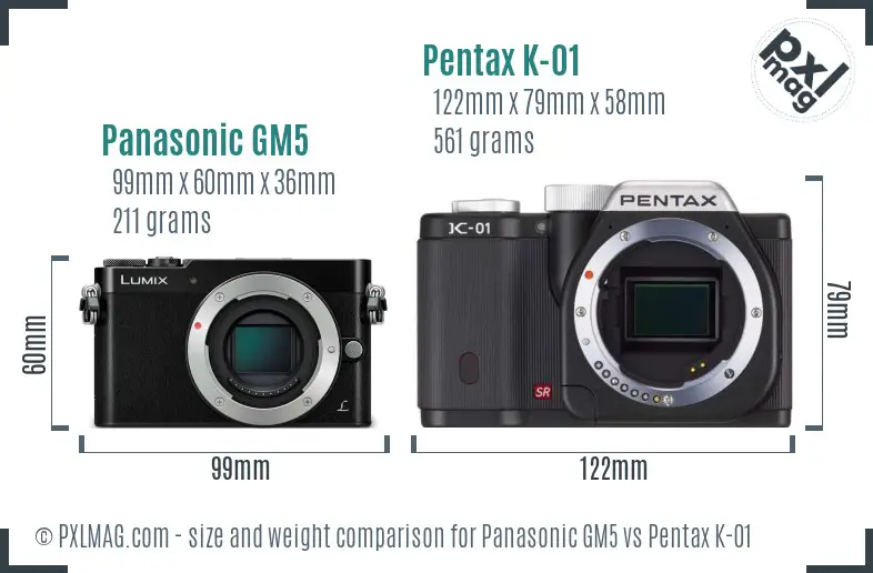 Panasonic GM5 vs Pentax K-01 size comparison
