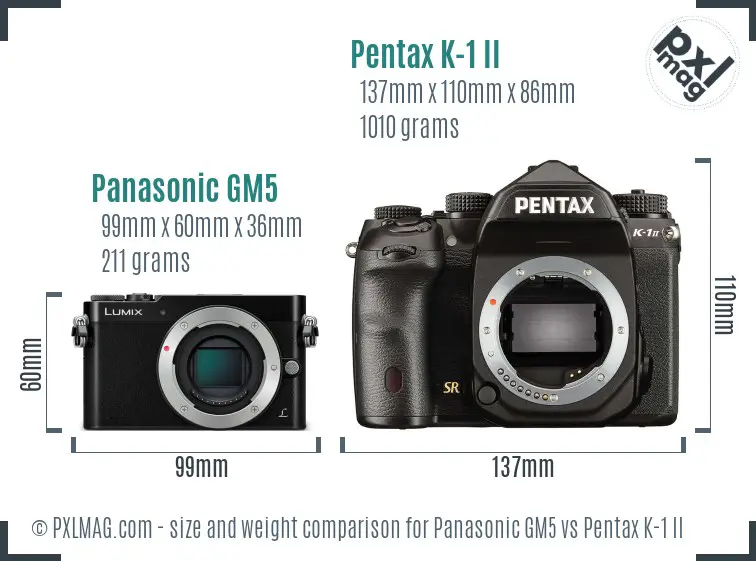 Panasonic GM5 vs Pentax K-1 II size comparison