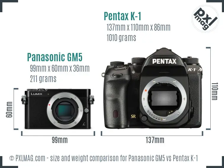 Panasonic GM5 vs Pentax K-1 size comparison