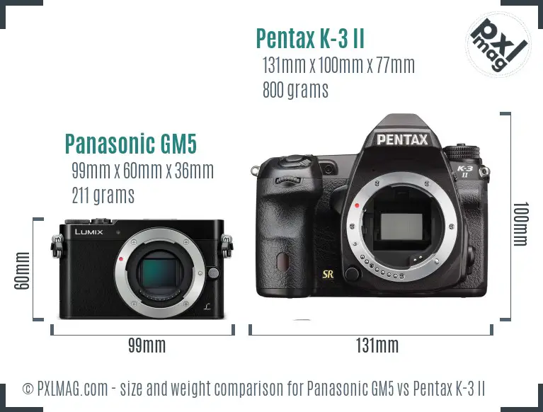 Panasonic GM5 vs Pentax K-3 II size comparison