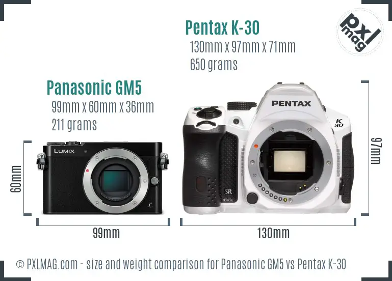 Panasonic GM5 vs Pentax K-30 size comparison