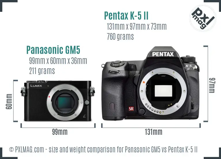 Panasonic GM5 vs Pentax K-5 II size comparison