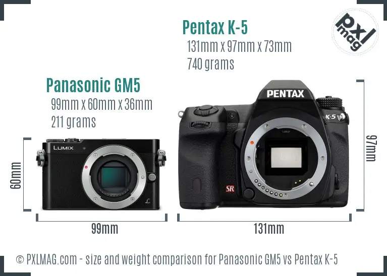 Panasonic GM5 vs Pentax K-5 size comparison