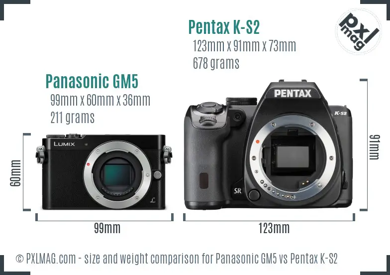 Panasonic GM5 vs Pentax K-S2 size comparison