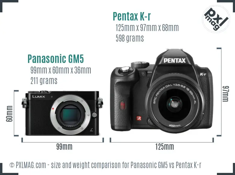 Panasonic GM5 vs Pentax K-r size comparison