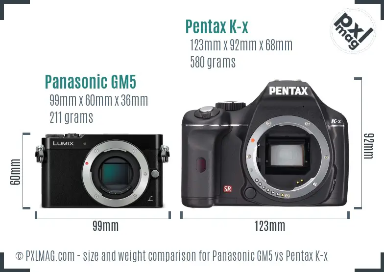 Panasonic GM5 vs Pentax K-x size comparison