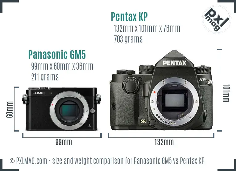 Panasonic GM5 vs Pentax KP size comparison