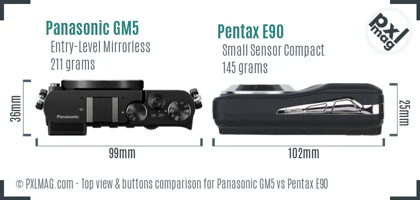 Panasonic GM5 vs Pentax E90 top view buttons comparison